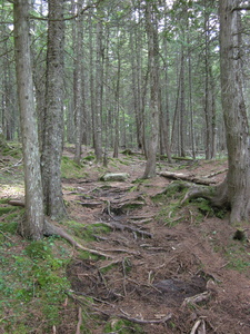 Appalachian Trail 