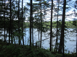 Appalachian Trail Spectacle Pond