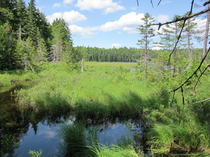 Appalachian Trail Spectacle Pond