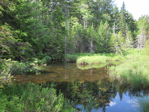 Appalachian Trail Spectacle Pond