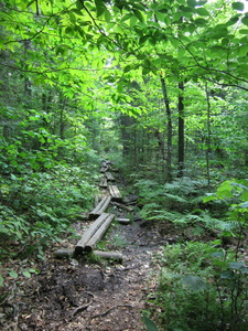 Appalachian Trail 