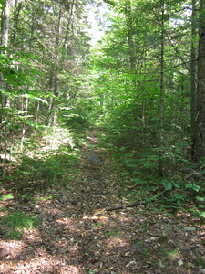 Appalachian Trail 