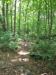 Appalachian Trail 