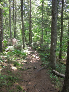 Appalachian Trail 