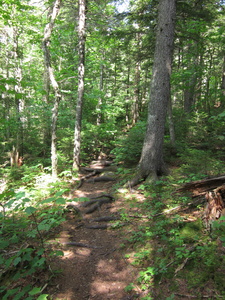 Appalachian Trail 