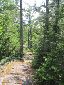 Appalachian Trail 