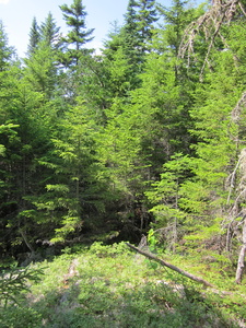 Appalachian Trail 