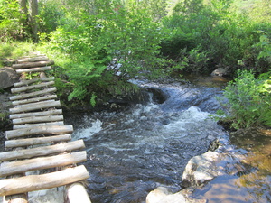 Appalachian Trail Spectacle Pond at lake exit, Goodell Brook