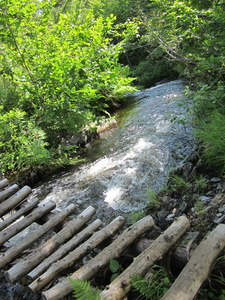 Appalachian Trail Spectacle Pond at lake exit, Goodell Brook