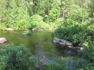 Appalachian Trail Spectacle Pond at lake exit.