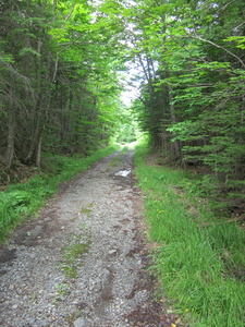 Appalachian Trail Snowmobile Path