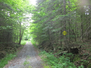 Appalachian Trail Snowmobile Path