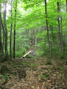 Appalachian Trail 