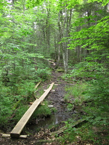 Appalachian Trail 