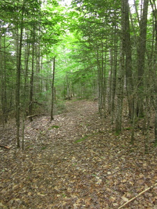 Appalachian Trail 