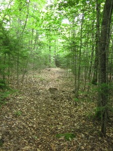 Appalachian Trail 