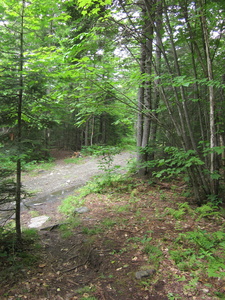 Appalachian Trail 