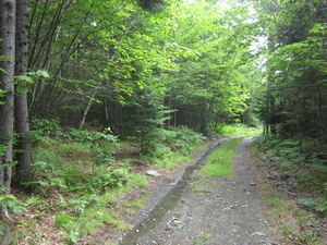 Appalachian Trail 