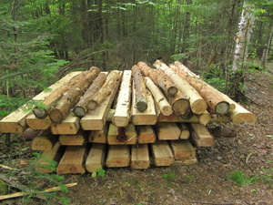 Appalachian Trail Boards for bog bridges.