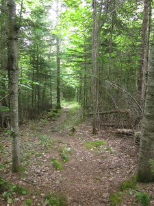 Appalachian Trail 