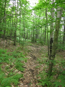 Appalachian Trail 