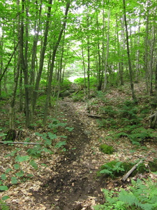 Appalachian Trail 