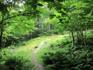 Appalachian Trail 