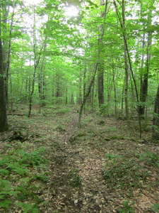 Appalachian Trail 