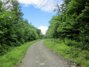 Appalachian Trail 