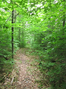 Appalachian Trail 