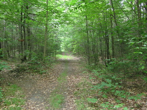 Appalachian Trail 