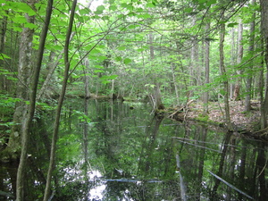 Appalachian Trail Lake Hebron