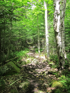 Appalachian Trail 