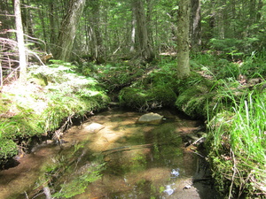 Appalachian Trail 