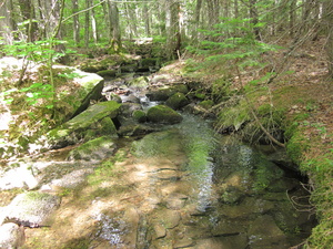 Appalachian Trail 