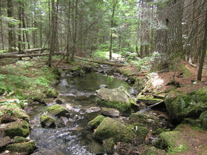 Appalachian Trail 