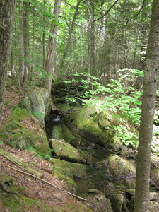 Appalachian Trail 