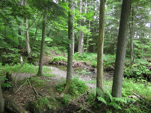 Appalachian Trail 