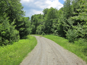 Appalachian Trail 