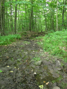 Appalachian Trail 