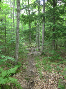 Appalachian Trail 