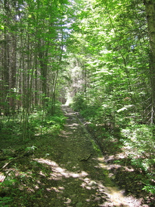 Appalachian Trail 