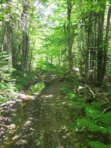 Appalachian Trail 