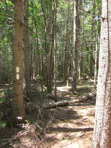 Appalachian Trail Double blaze