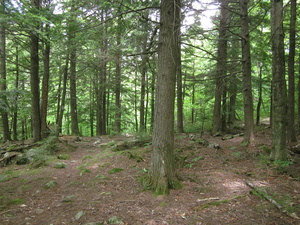 Appalachian Trail 