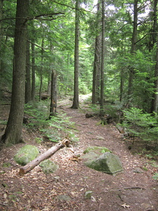 Appalachian Trail 