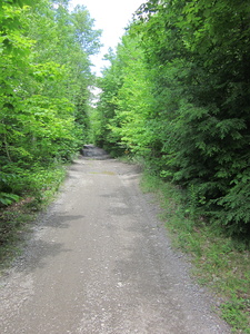 Appalachian Trail 