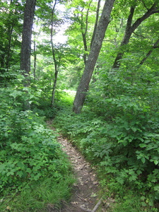 Appalachian Trail 