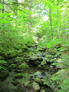 Appalachian Trail 