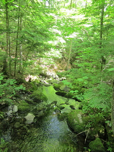 Appalachian Trail 